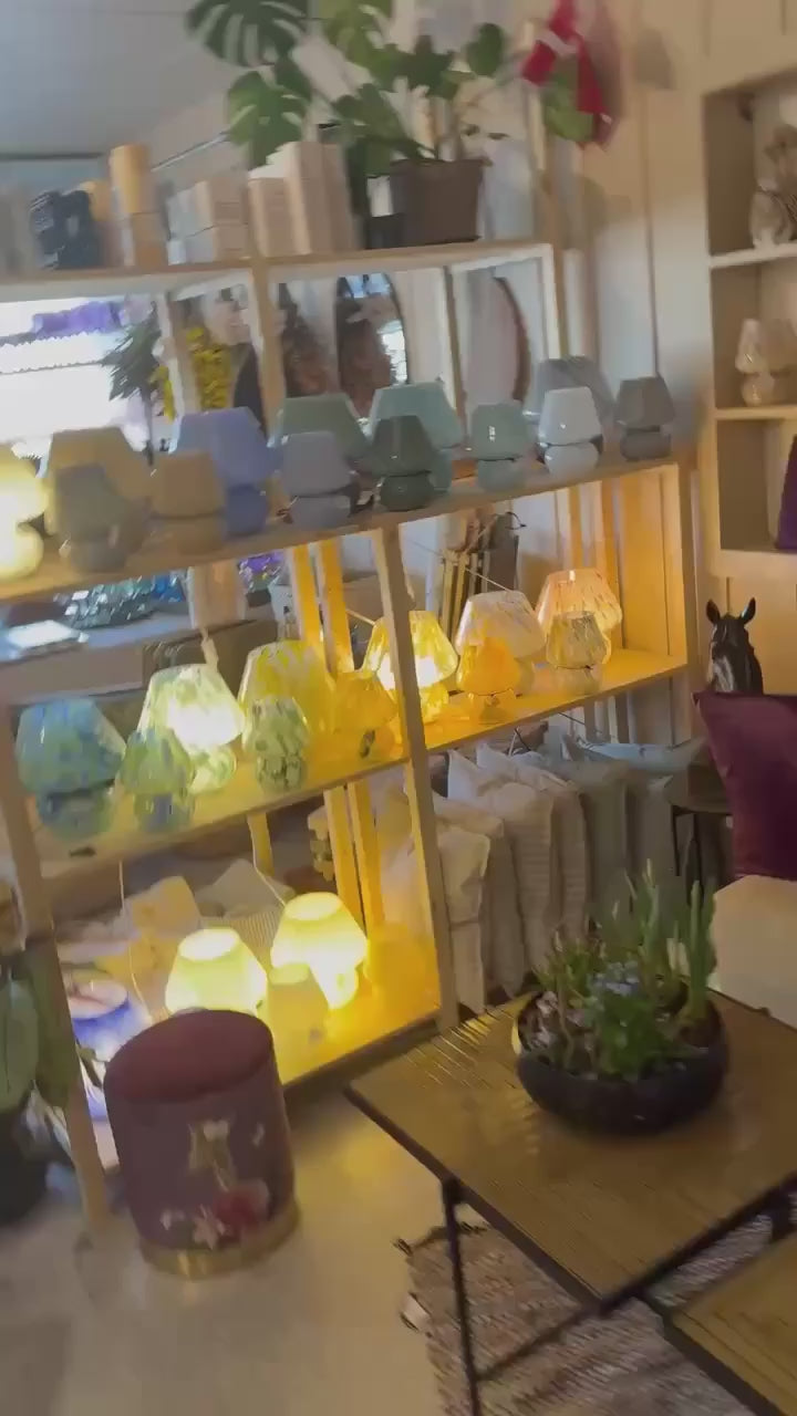 Indlæs video: