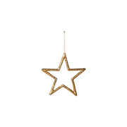 Rustik stjerne fra Speedtsberg