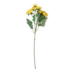 Blomst - Ranunkel stilk 48cm