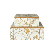 Æskesæt fra Speedtsberg