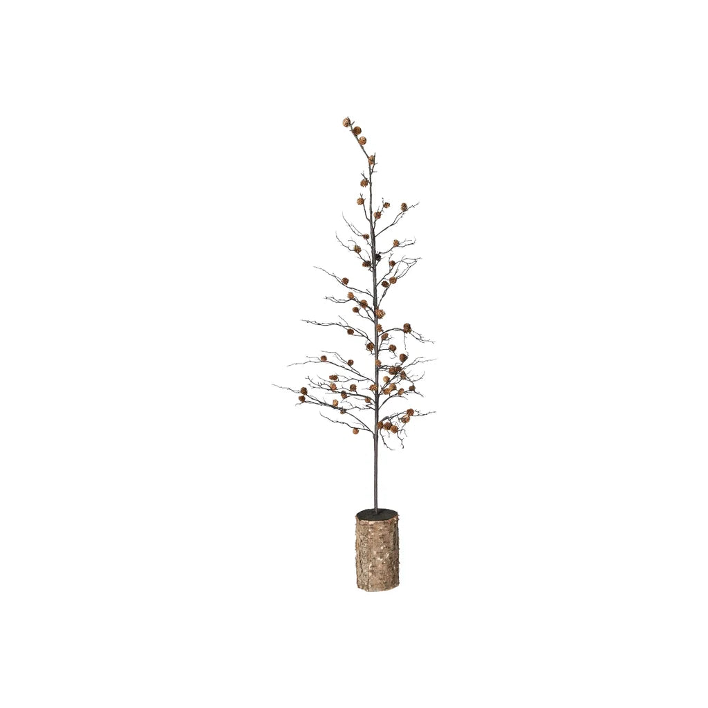 Kogletræ på fod med små brune kogler, slanke grene og en cylindrisk fod med barkstruktur, vist i fuld højde på hvid baggrund.
